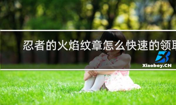 忍者的火焰纹章怎么快速的领取
