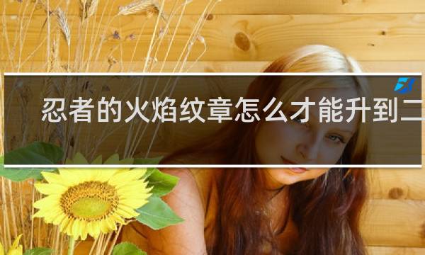忍者的火焰纹章怎么才能升到二级