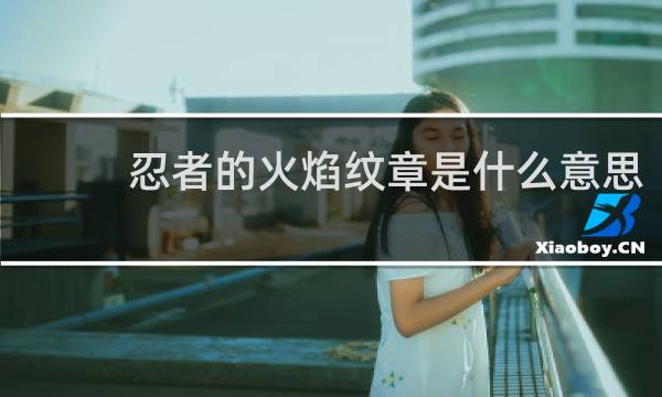 忍者的火焰纹章是什么意思