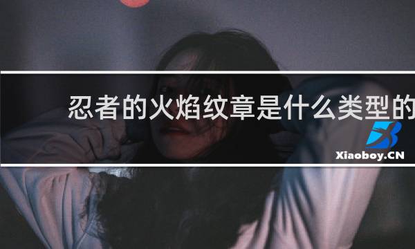 忍者的火焰纹章是什么类型的