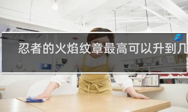 忍者的火焰纹章最高可以升到几级