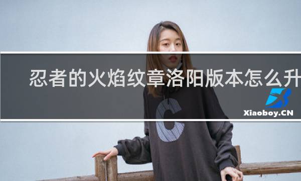 忍者的火焰纹章洛阳版本怎么升级