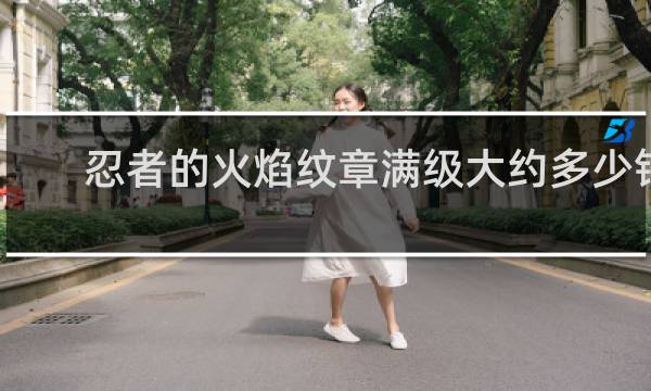 忍者的火焰纹章满级大约多少钱