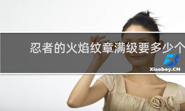 忍者的火焰纹章满级要多少个