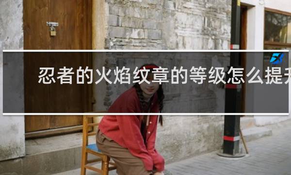 忍者的火焰纹章的等级怎么提升