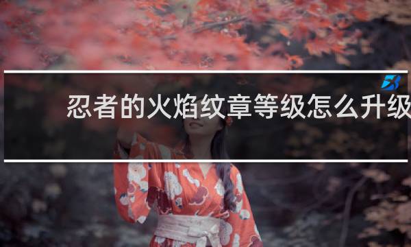 忍者的火焰纹章等级怎么升级