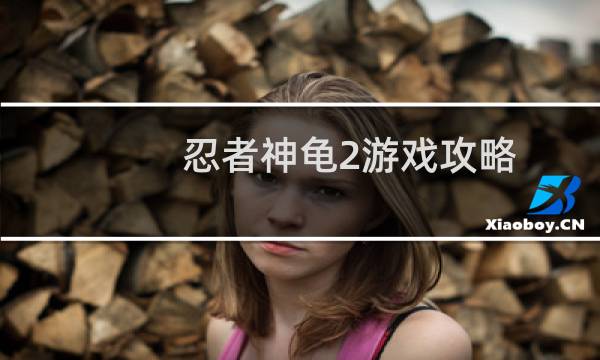 忍者神龟2游戏攻略