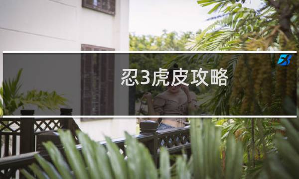 忍3虎皮攻略