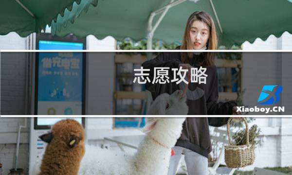 志愿攻略