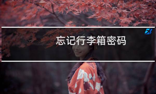 忘记行李箱密码