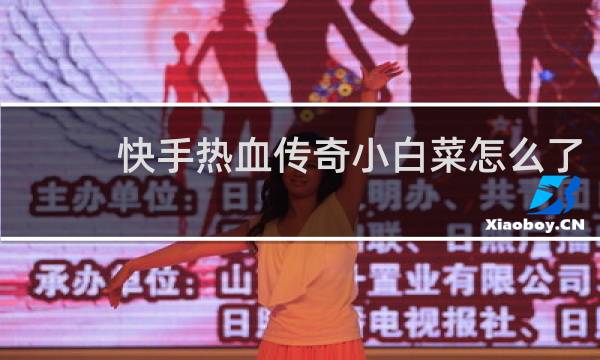 快手热血传奇小白菜怎么了