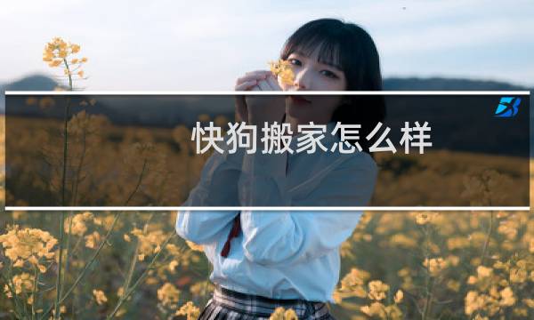 快狗搬家怎么样
