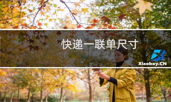 快递一联单尺寸