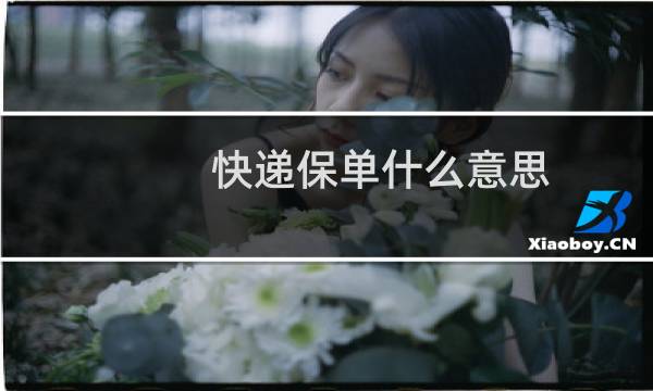 快递保单什么意思