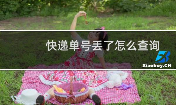 快递单号丢了怎么查询