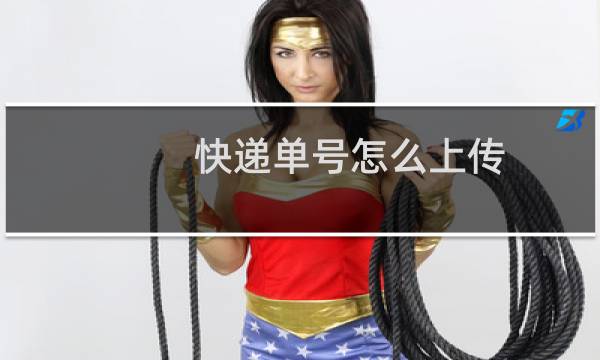 快递单号怎么上传