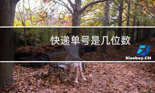 快递单号是几位数
