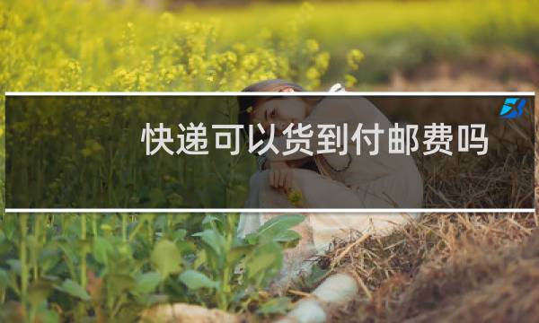 快递可以货到付邮费吗