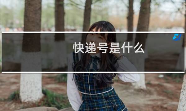 快递号是什么