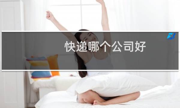 快递哪个公司好