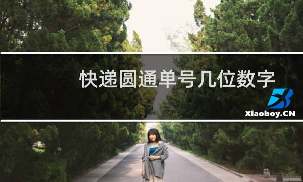 快递圆通单号几位数字