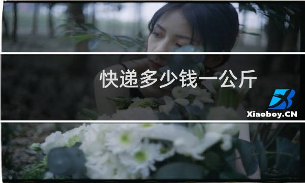 快递多少钱一公斤