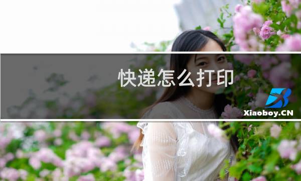 快递怎么打印