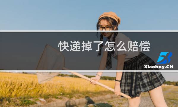 快递掉了怎么赔偿