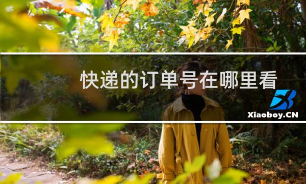 快递的订单号在哪里看