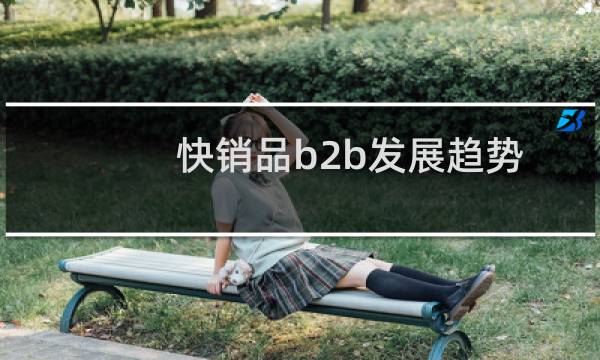 快销品b2b发展趋势