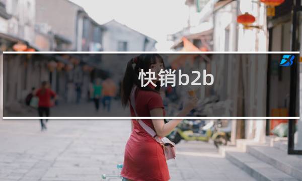 快销b2b 电商市场分析