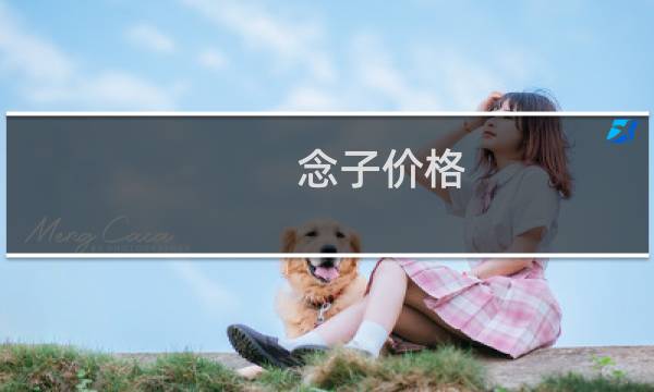 念子价格