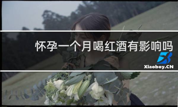 怀孕一个月喝红酒有影响吗