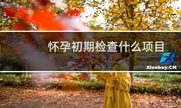 怀孕初期检查什么项目
