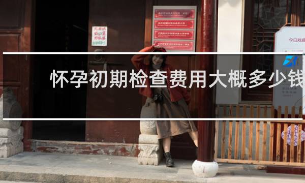 怀孕初期检查费用大概多少钱