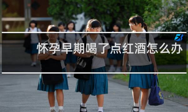 怀孕早期喝了点红酒怎么办