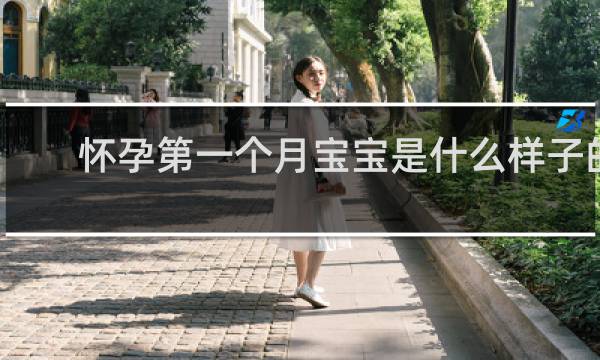 怀孕第一个月宝宝是什么样子的