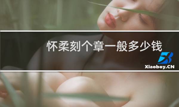 怀柔刻个章一般多少钱