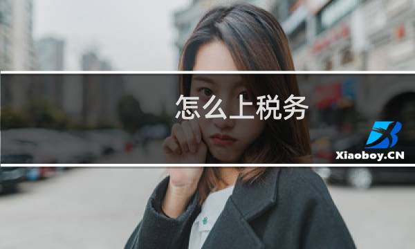 怎么上税务