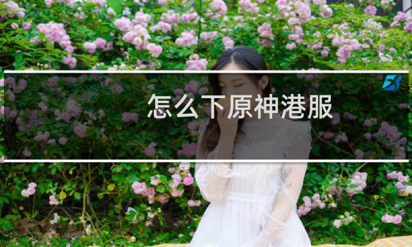 怎么下原神港服