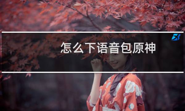 怎么下语音包原神