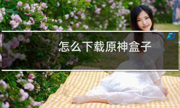 怎么下载原神盒子