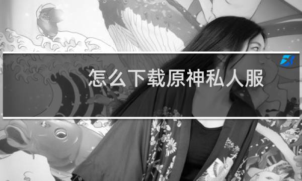怎么下载原神私人服