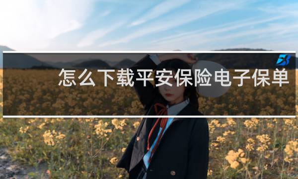 怎么下载平安保险电子保单