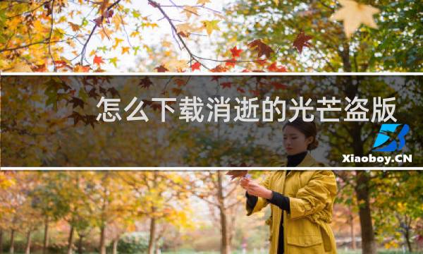 怎么下载消逝的光芒盗版