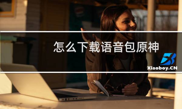 怎么下载语音包原神