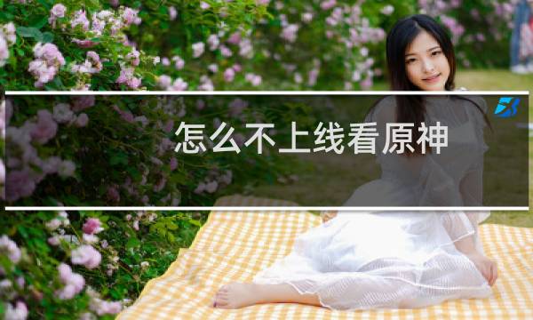 怎么不上线看原神
