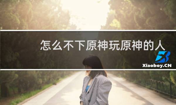怎么不下原神玩原神的人