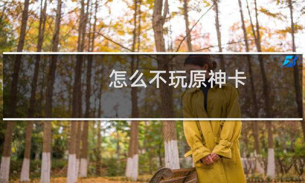 怎么不玩原神卡