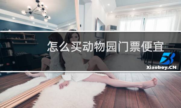 怎么买动物园门票便宜